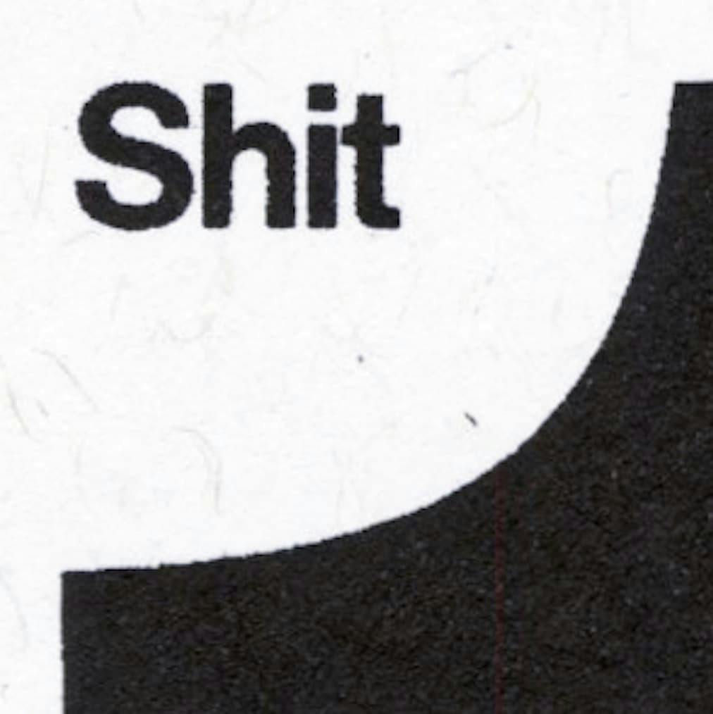 Zoomed-in portion of text displaying the word "Sh*t", accentuating the risograph print’s texture and granularity.